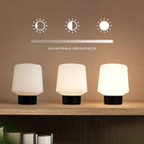 Ambience Lamp Intelligent+ mit Oslo base aus FSC® - zertifiziertem Eichenholz in Größe 5, skandinavisches Design | Ambience - Lamp Intelligent+ & Oslo base - 10 | SACKit
