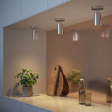 Polierte Expo Ceiling Deckenleuchte aus Aluminium mit schlichtem, modernem Design. | Expo Ceiling - Polished | SACKit