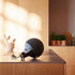 Schwarzer pulverbeschichteter Edelstahlständer mit Play Lautsprecher und Hanfseilgriff auf Terrasse | Patio Accessory Stand Ø14 + Play - | SACKit