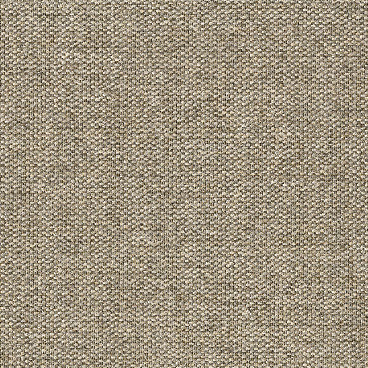 variant_8600110%