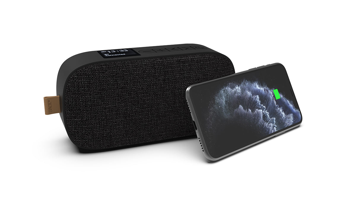 Go 300 - Wiederaufladbarer Bluetooth-Lautsprecher mit FM/DAB+-Radio
