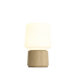 Ambience - Lamp Intelligent & Oslo base