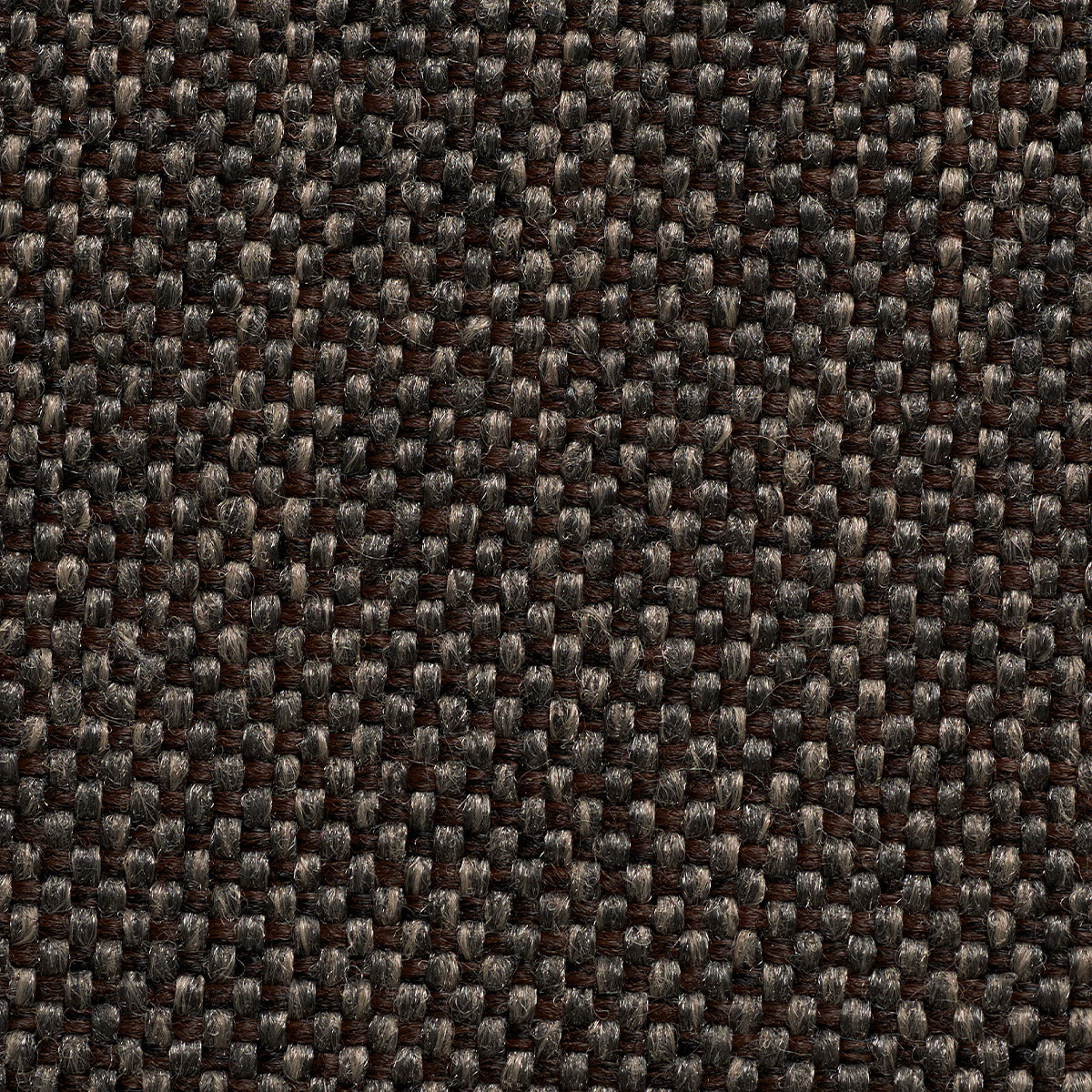 variant_8573001