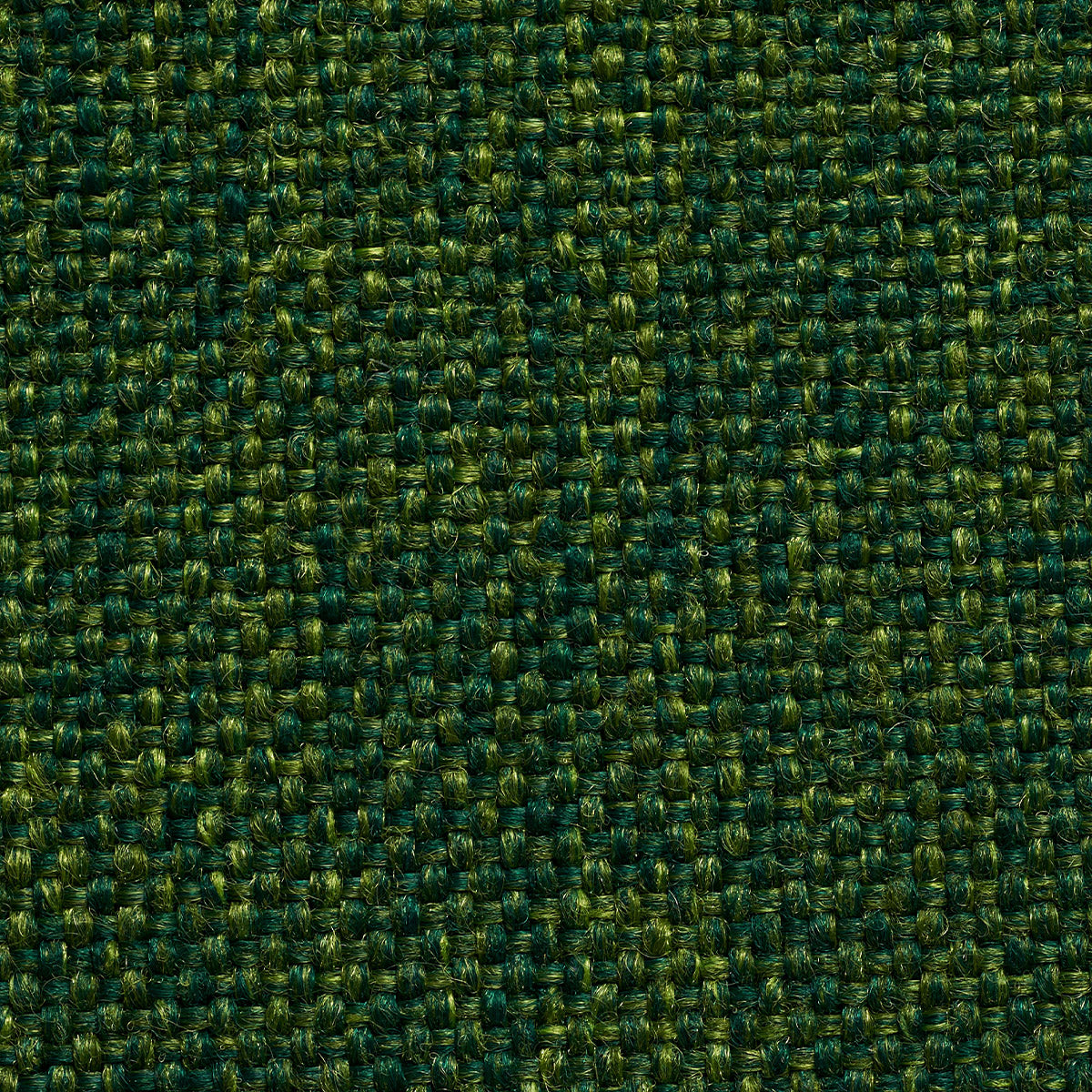 variant_8573006