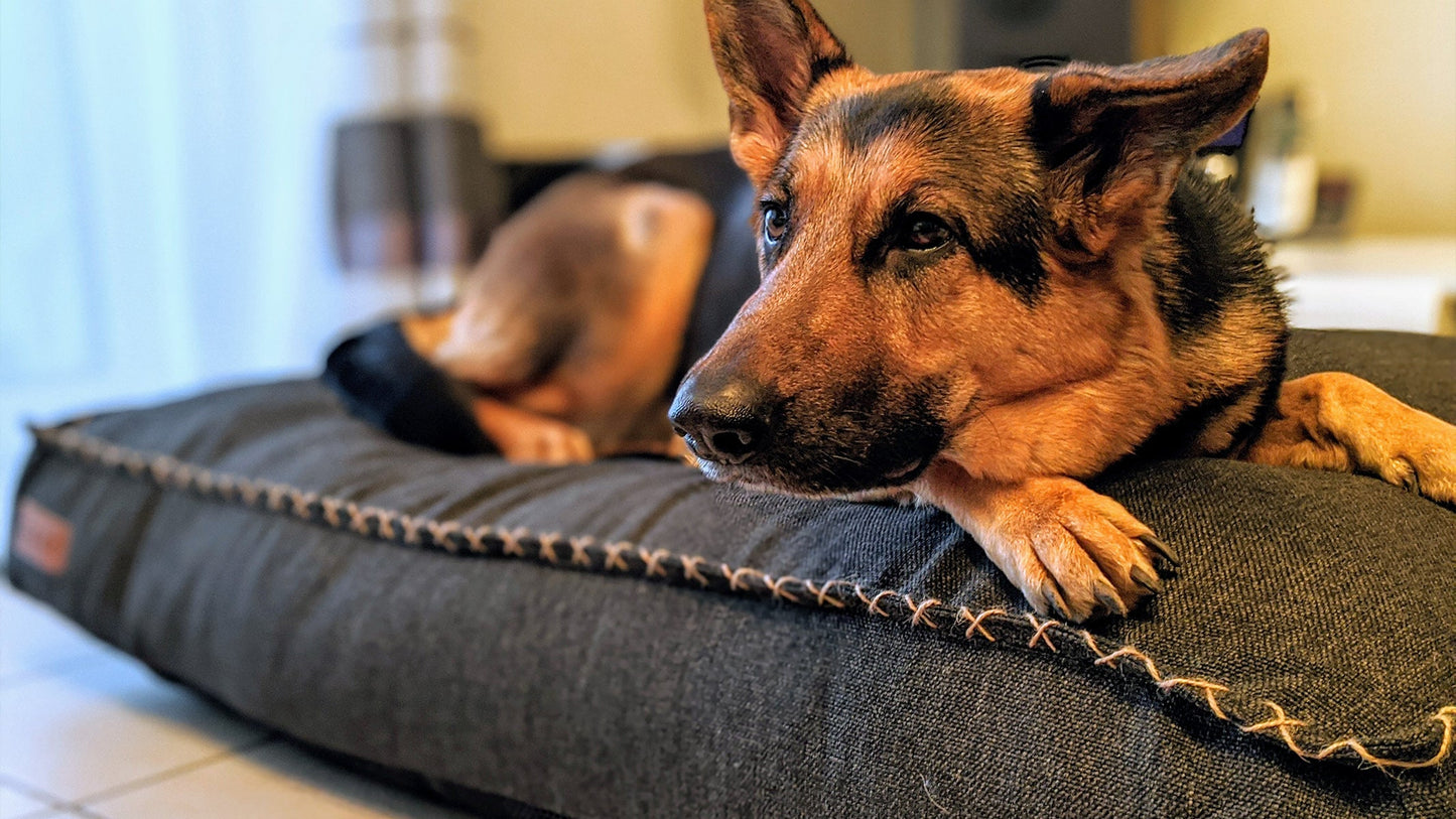 Dog bed - Exklusive Hundebett für Ihr hund