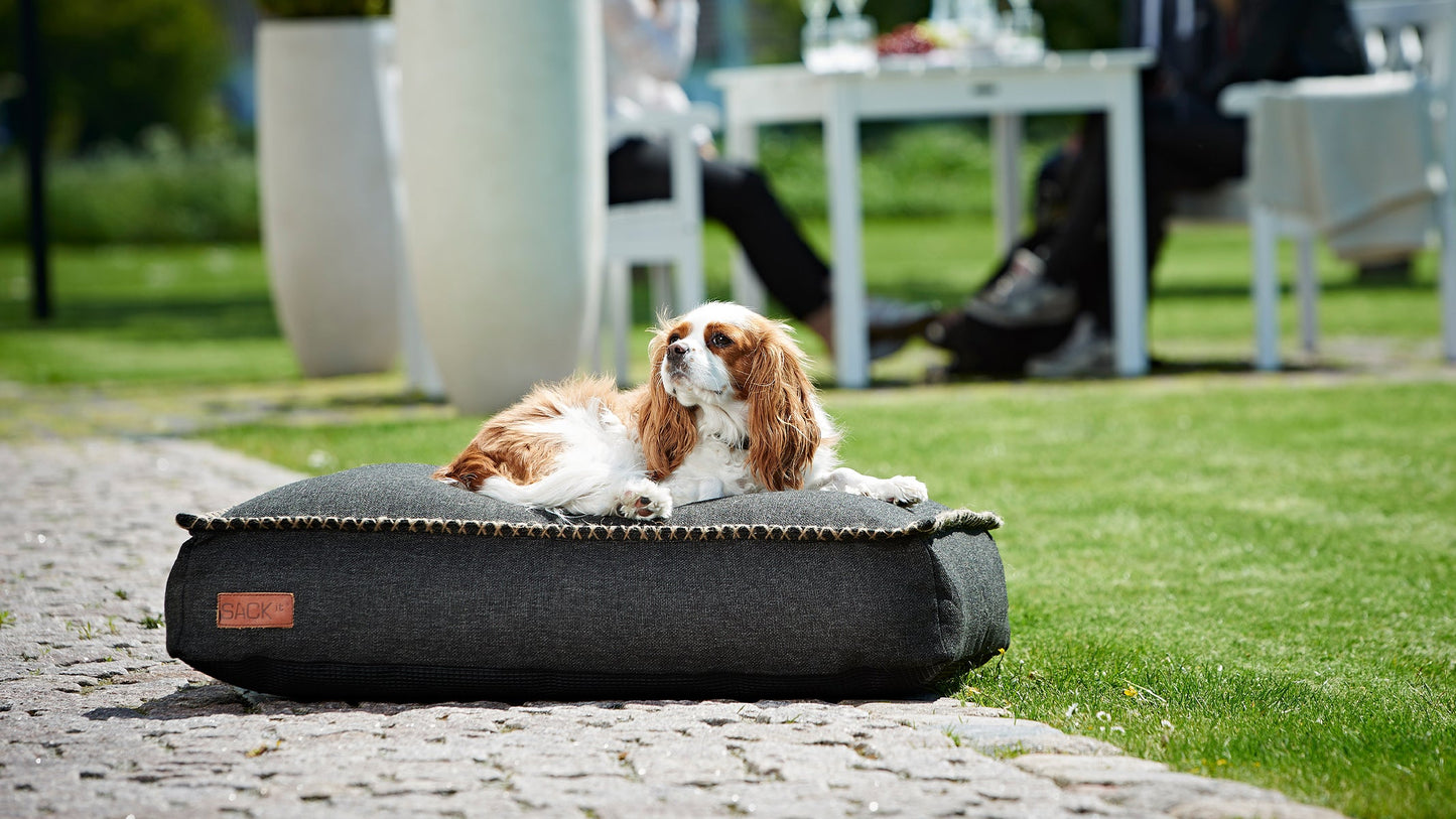 Dog bed - Exklusive Hundebett für Ihr hund