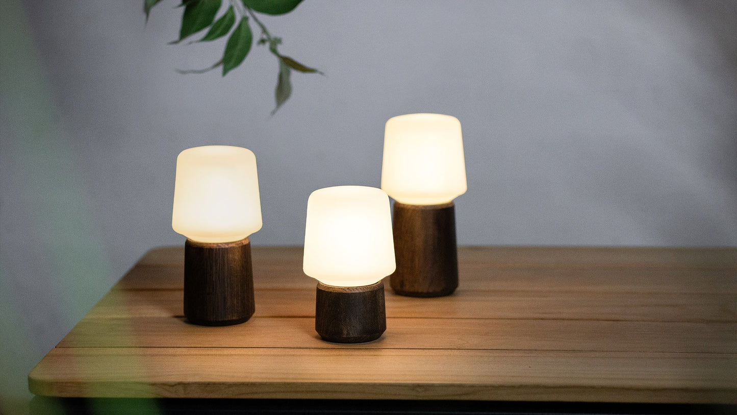 Ambience - Lamp Intelligent+ - Akkubetrieben Bluetooth-Leuchte für den Innen- und Außenbereich