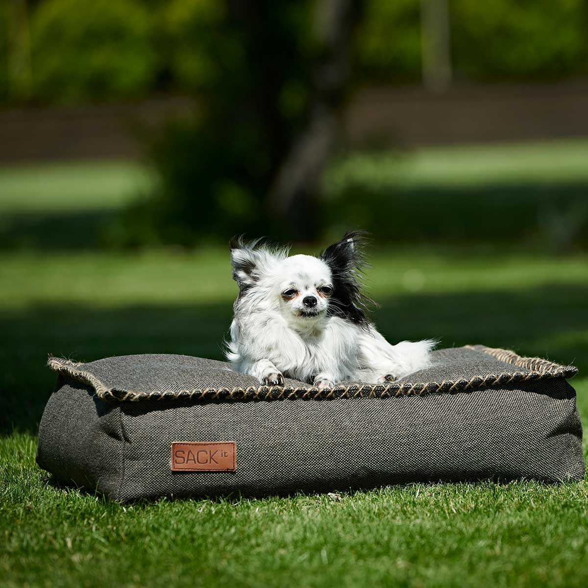  | Dog bed [Contract] - Cobana Brown Mini | SACKit