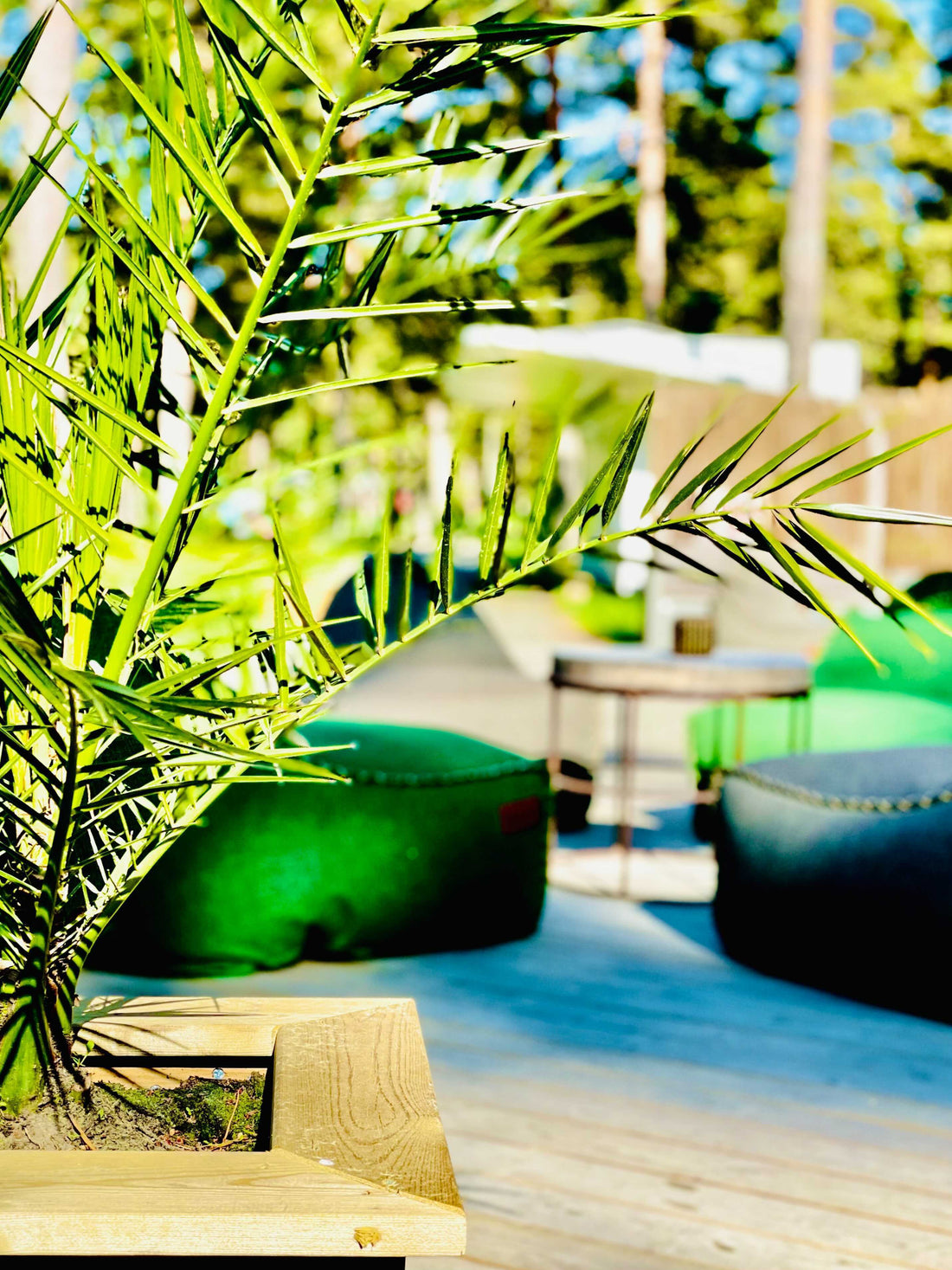 Cobana Lounge Chair von SACKit im Ferienresort Canvas Hove