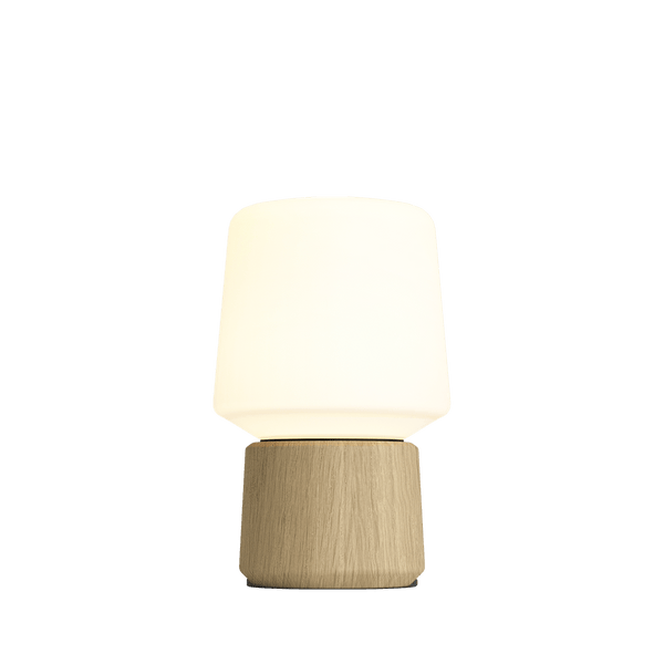 Ambience - Lamp Intelligent & Oslo base