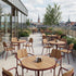Kirra Patio Chair | Kirra Patio Chair - Chestnut | SACKit